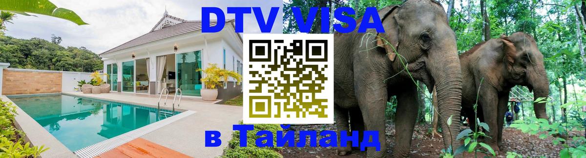 Оформление DTV визы под ключ: стоимость и тарифы, только загранпаспорт - 20.11.2025 